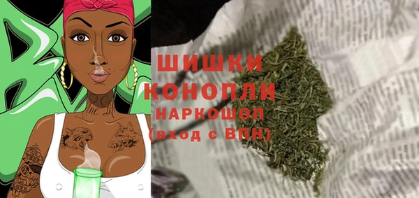 ПСИЛОЦИБИНОВЫЕ ГРИБЫ Лихославль