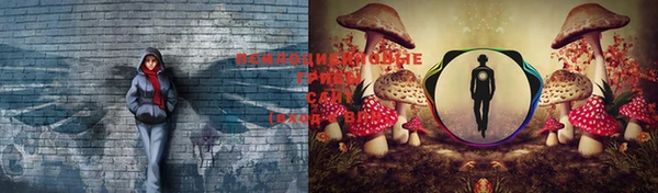 ПСИЛОЦИБИНОВЫЕ ГРИБЫ Лихославль