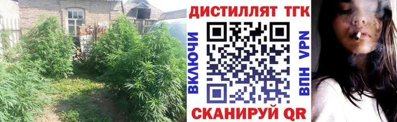 Дистиллят ТГК жижа  Купить  Маркс 